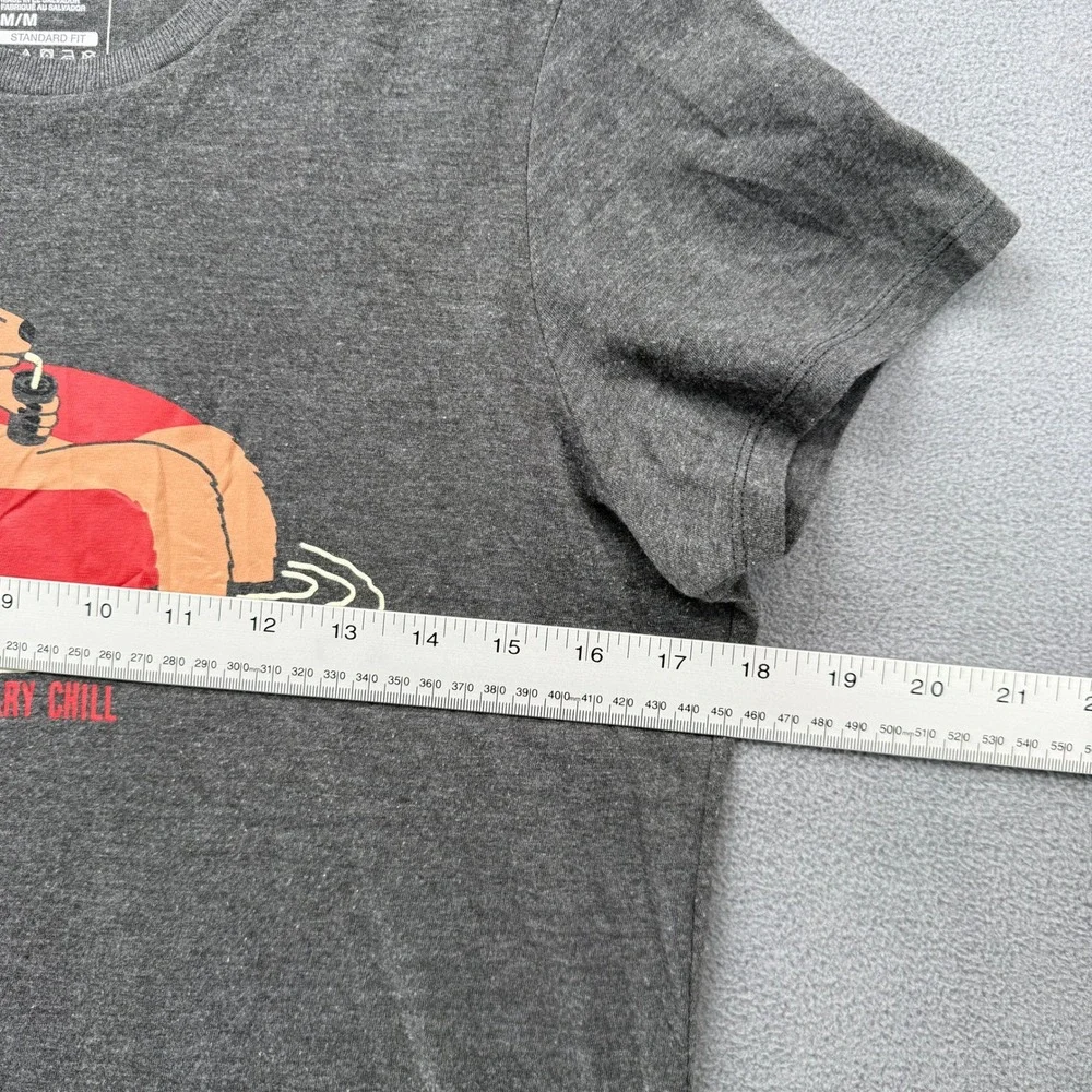 The North Face T-Shirt Womens Beary Chill Graphic Charcoal Grey Medium Standard - Picture 5 of 7
